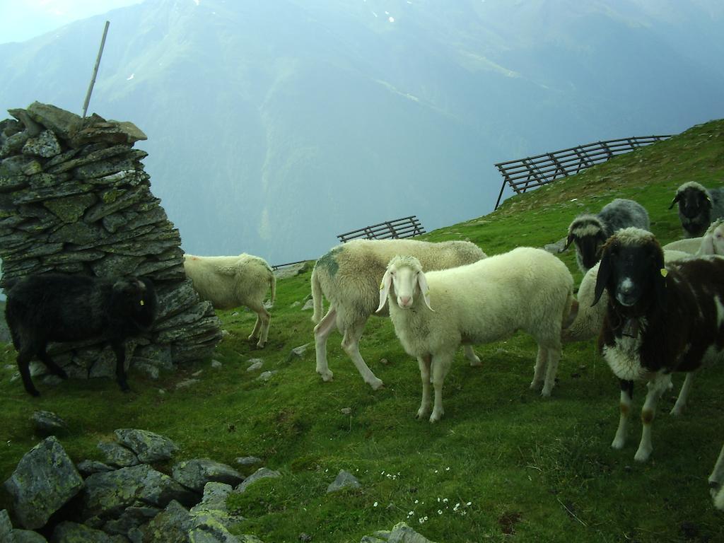 Ferienwohnung Temelerhof Gries im Sellrain Exterior foto